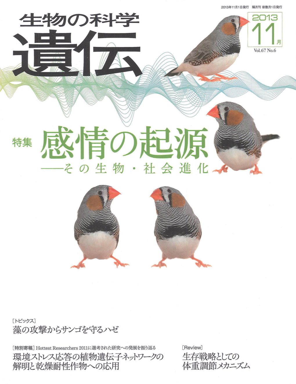 生物の科学　遺伝　2013年11月発行号　Vol.67 No.6　特集　感情の起源―その生物・社会進化