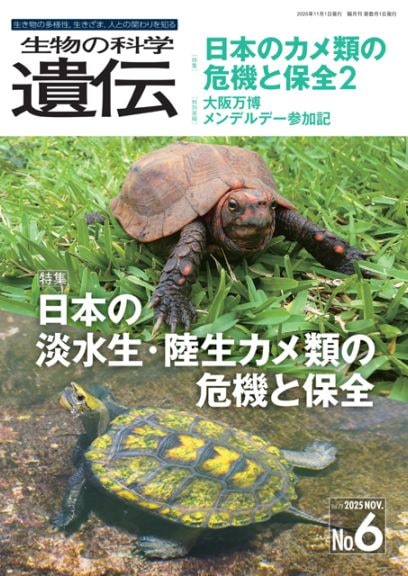 生物の科学　遺伝　2025年11月発行号　Vol.79 No.6　特集　日本の淡水生・陸生カメ類の危機と保全