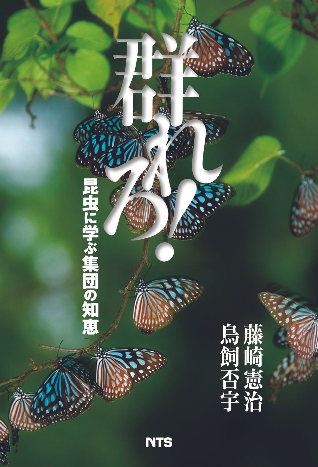 群れろ！　～昆虫に学ぶ集団の知恵～