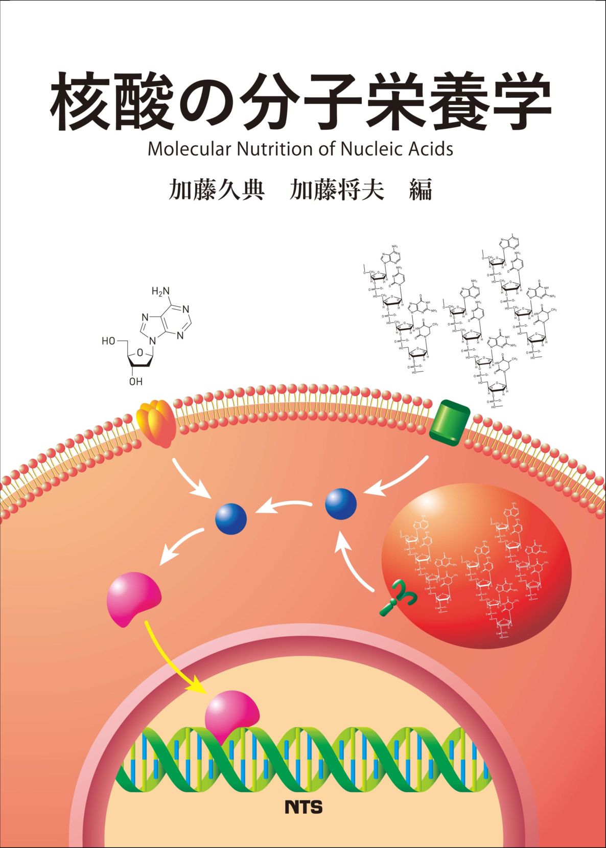 核酸の分子栄養学