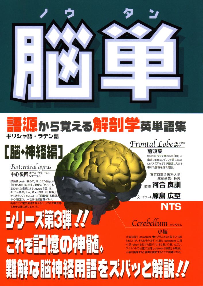 脳単　～語源から覚える解剖学英単語集～