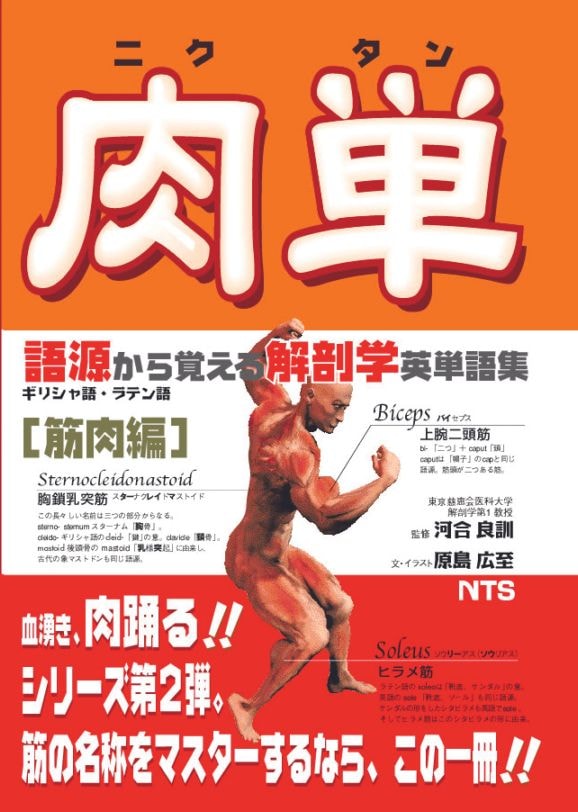肉単　～語源から覚える解剖学英単語集～