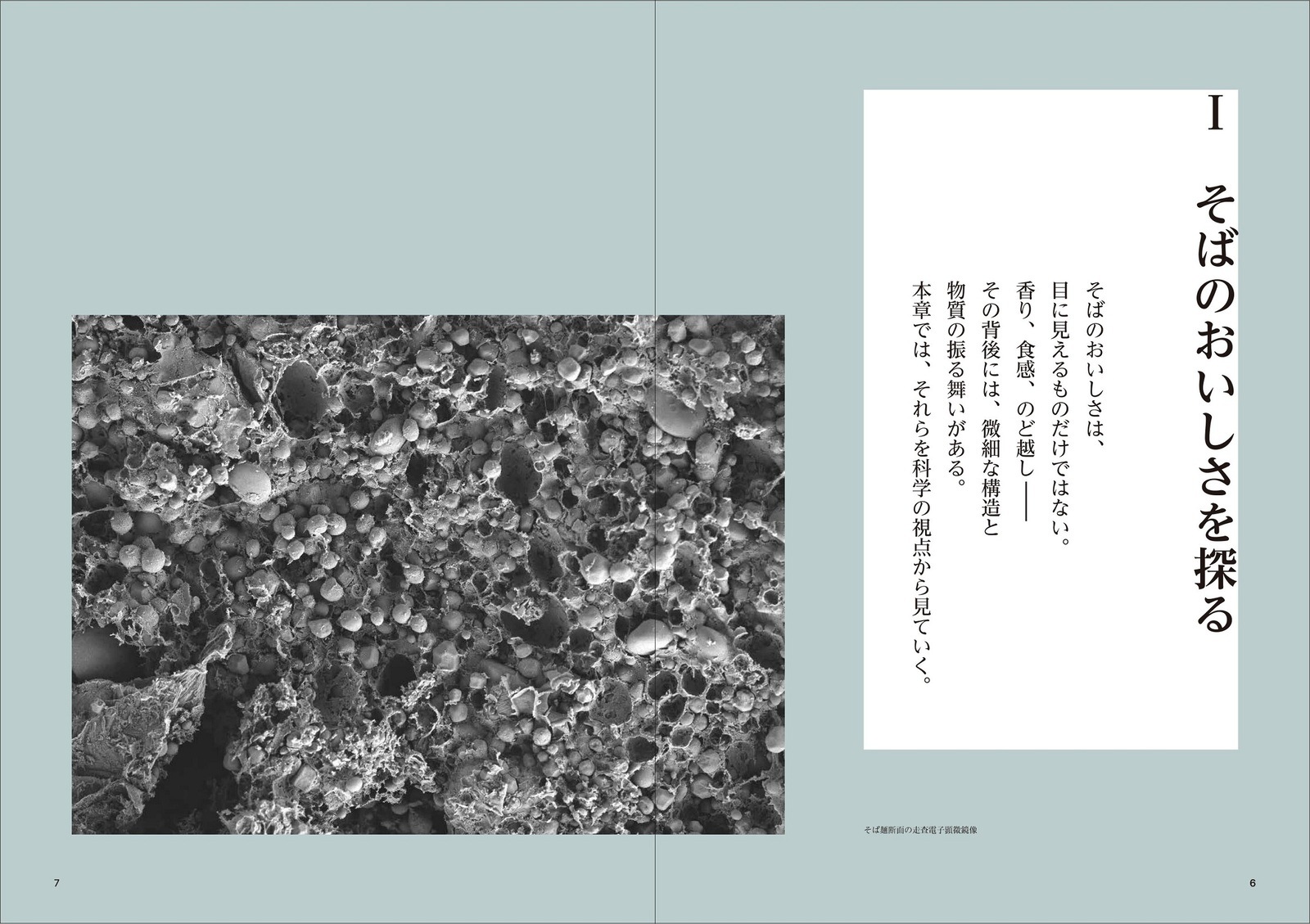 Νοστιμο おいしさの科学シリーズ Vol.5 手打ちそばをめぐる知　～科学と文化のあいだで～ 