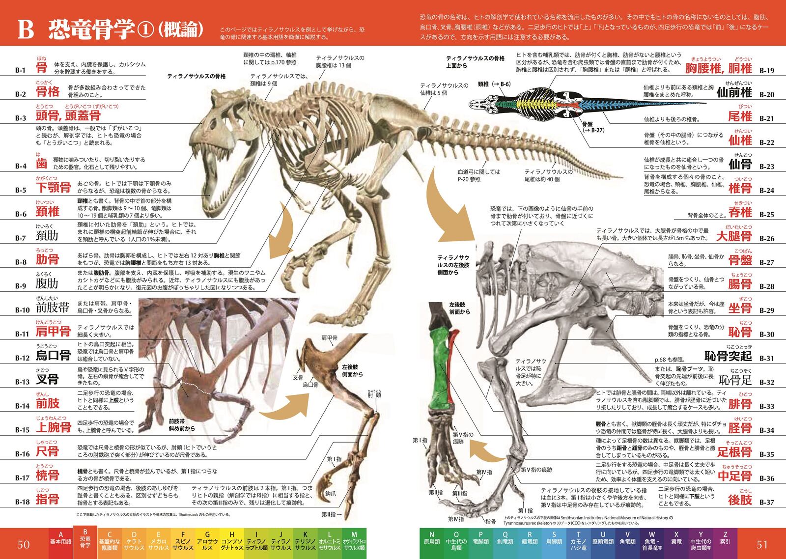 恐竜単　～語源から覚える恐竜英単語集～