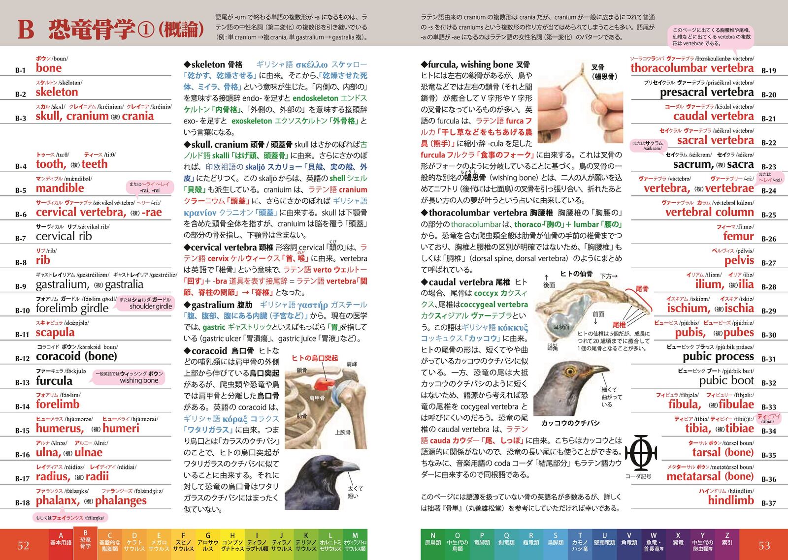 恐竜単　～語源から覚える恐竜英単語集～