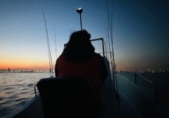 ĴʥܡȾ硿å롿ɡ¾