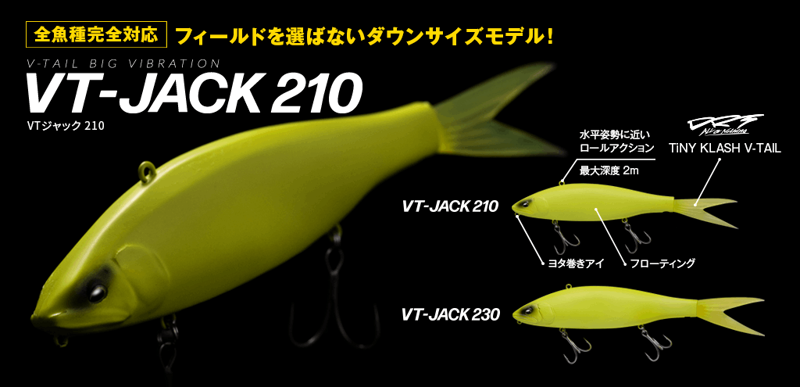 Fish Arrow VT-JACK 210 (�ե��å��奢���� VT����å�210)