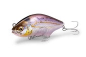 Megabass HADARA TRAP (ᥬХ ϥȥå)