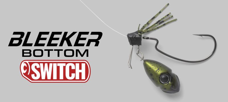 JACKALL BLEEKER BOTTOM SWITCH (å ֥꡼ܥȥॹå)