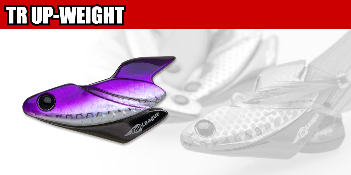 ECOGEAR TR UP-WEIGHT (エコギア TRアップウエイト) ※エギリー・ダート