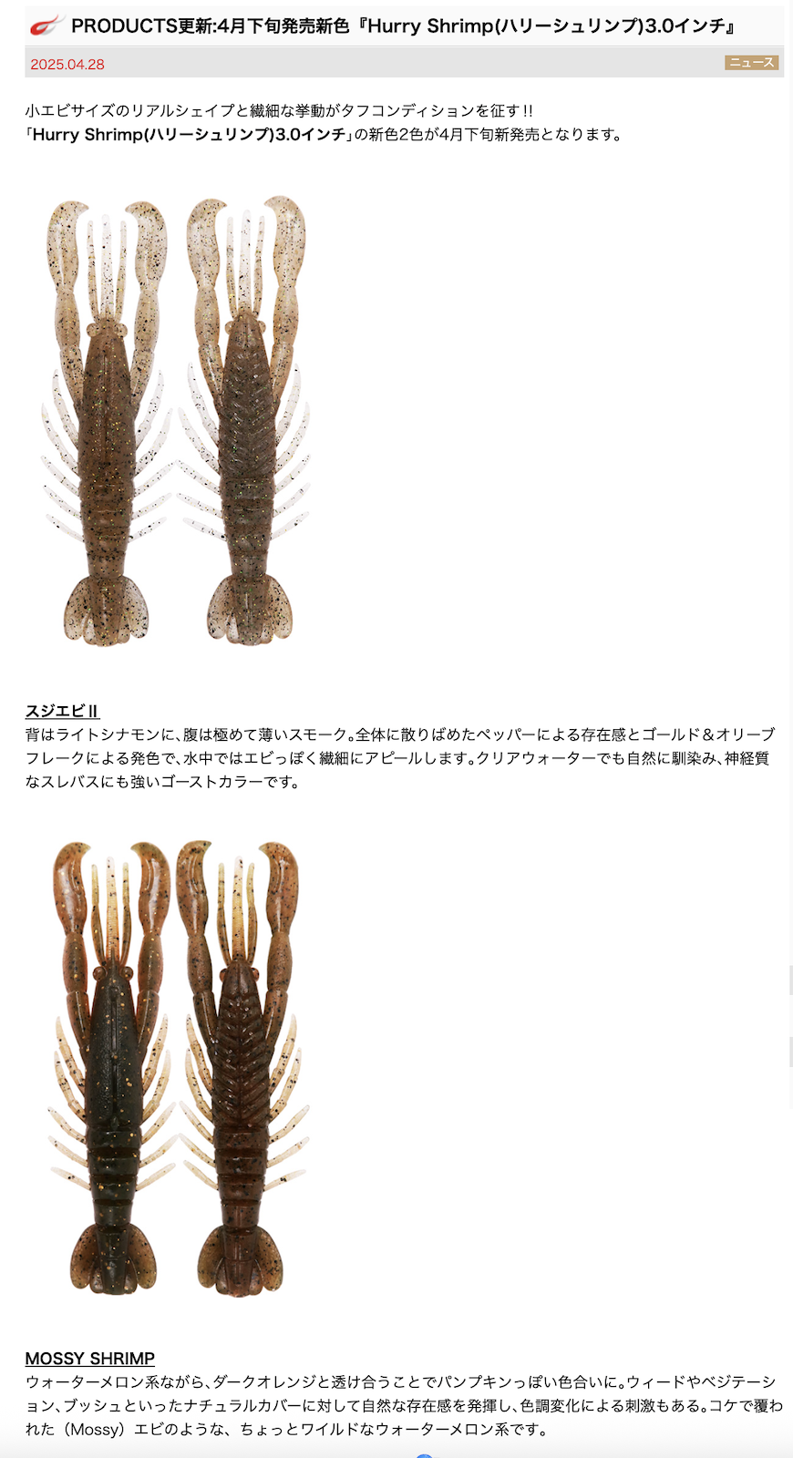 BOTTOMUP Hurry Shrimp (ܥȥॢå ϥ꡼) 3.0