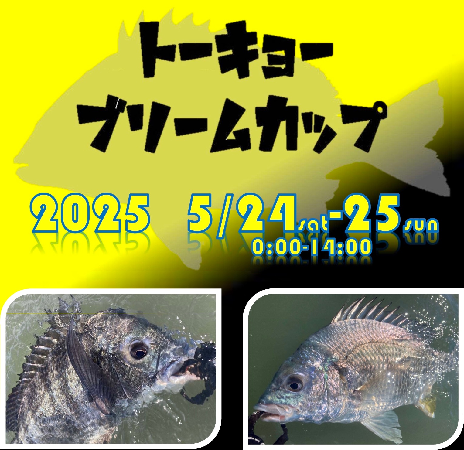 ȡ硼֥꡼५åףTBC2025˵ڤ DETA!! ȥ꡼ڥȥ꡼ɹ