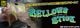 GEECRACK Bellows Stick (�٥��������ƥ��å�) 2.8