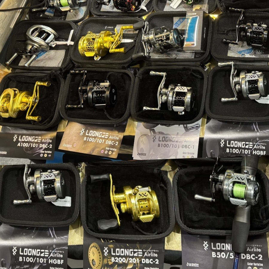 Loongze Airlite B200/201 DBC-2 ( 饤) ٥ȥ꡼ڼ