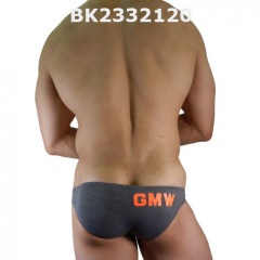 GMW センターシームクラシックT/Rシルケットビキニ gray