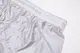 Ninoo Underwear �������