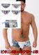 Ninoo Underwear ��������4�����åȡֲ��쥹�쥤�֥������ɡץӥ���