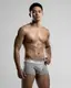 PRIVATE STRUCTURE��Chumm!�ۥ����饤���ܥ������ѥ�� Transcendent Grey