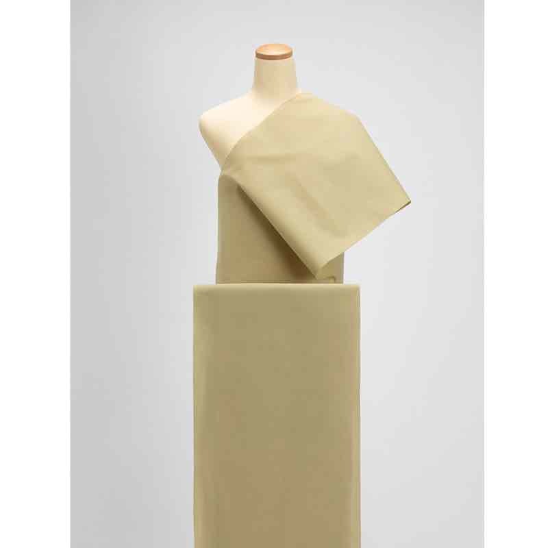 【遠州綿紬】無地もめん「うすやなぎ」