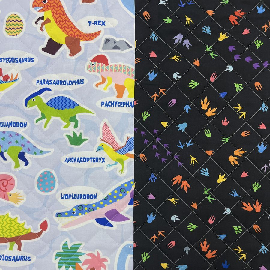 【Riconic】「おしゃれな恐竜図鑑」 デジタルプリント｜キルティング