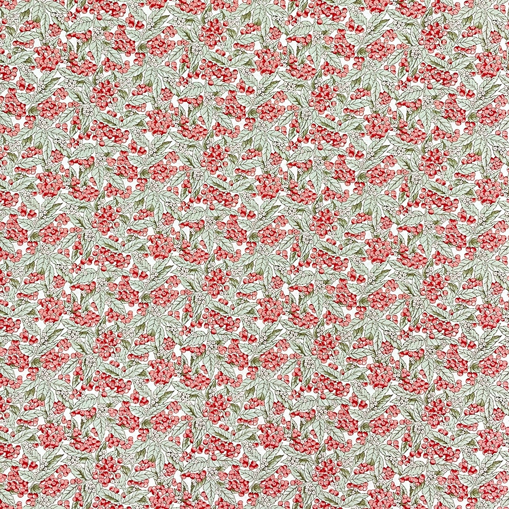 ブラットベリープリント コットンスケア生地