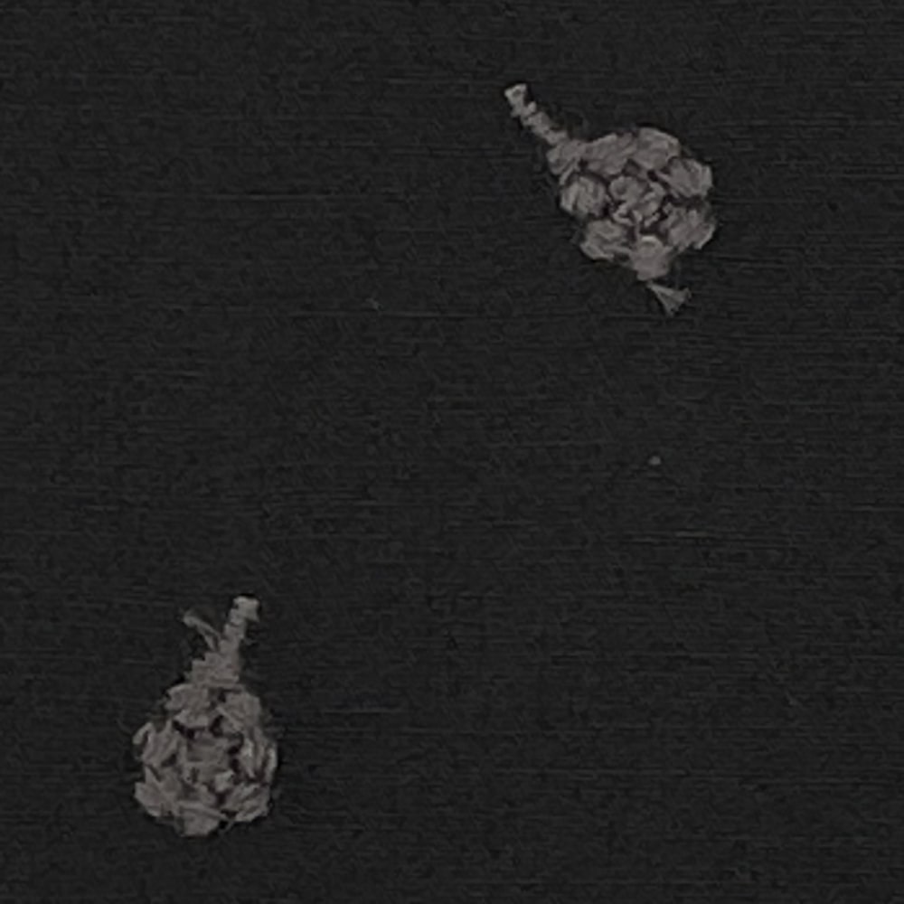 ベリー柄 ナッツ柄 木の実刺しゅう ブロード生地  (ブラック)