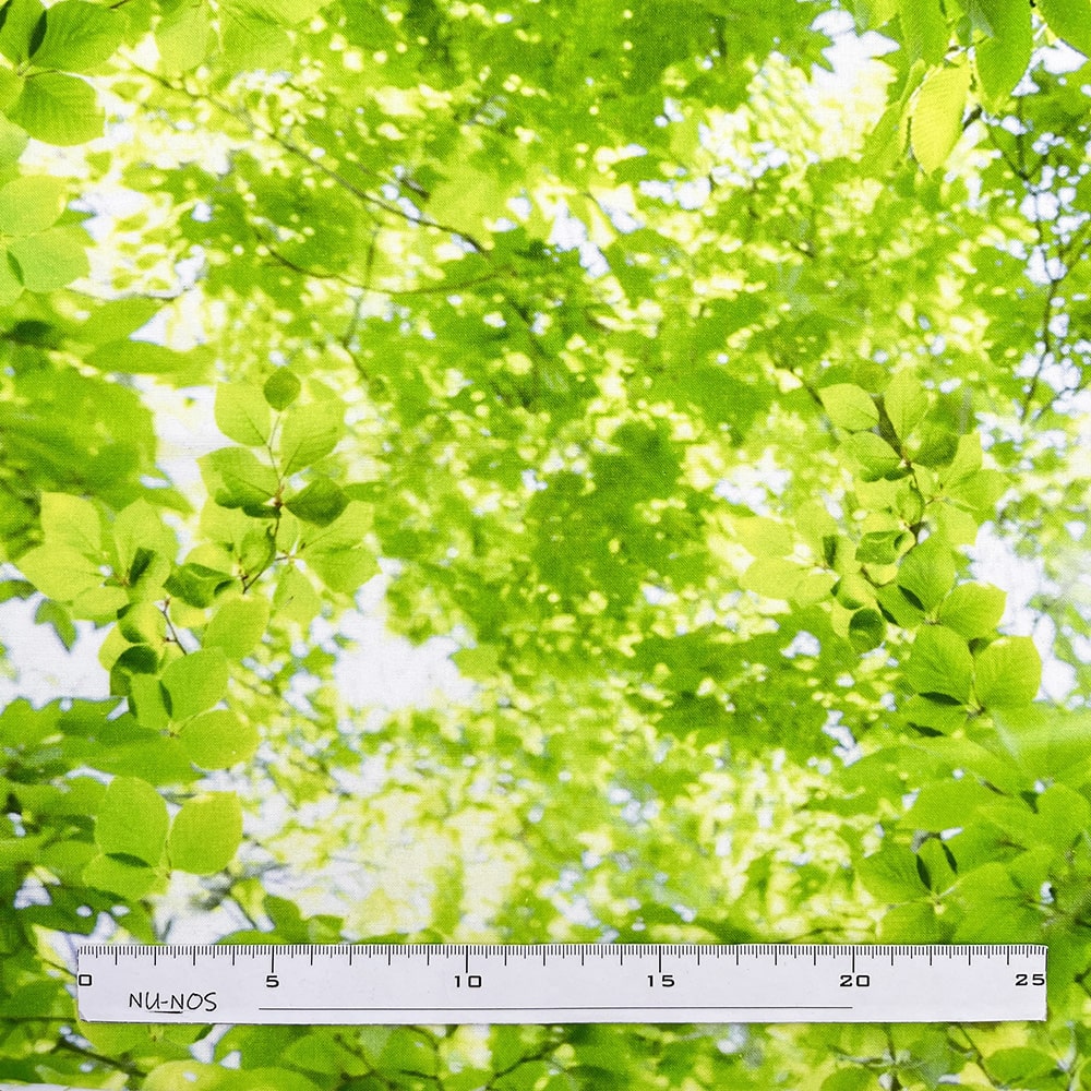 【Riconic】「FabtureCotton 緑と丸太」 デジタルプリント|シーチング