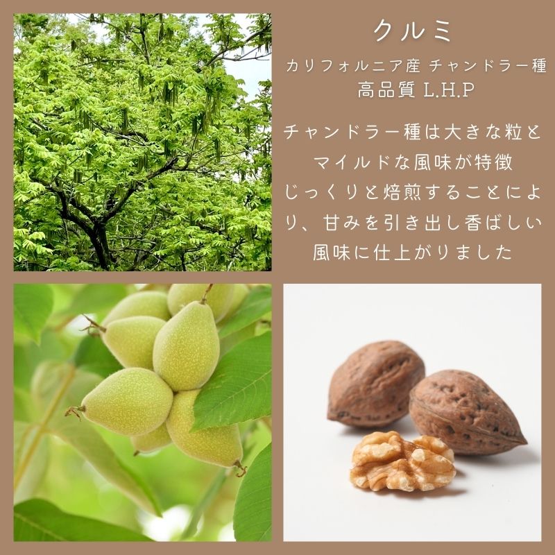 5ǾƤ߸ 140g207ޡ