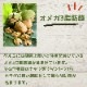 5ǾƤ߸ 140g207ޡ