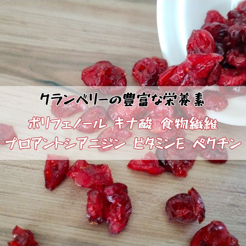 ٥꡼ ɥ饤ե롼 250g ꥫ ¤ ̵