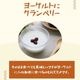 ٥꡼ ɥ饤ե롼 250g ꥫ ¤ ̵