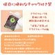 ٥꡼ ɥ饤ե롼 250g ꥫ ¤ ̵