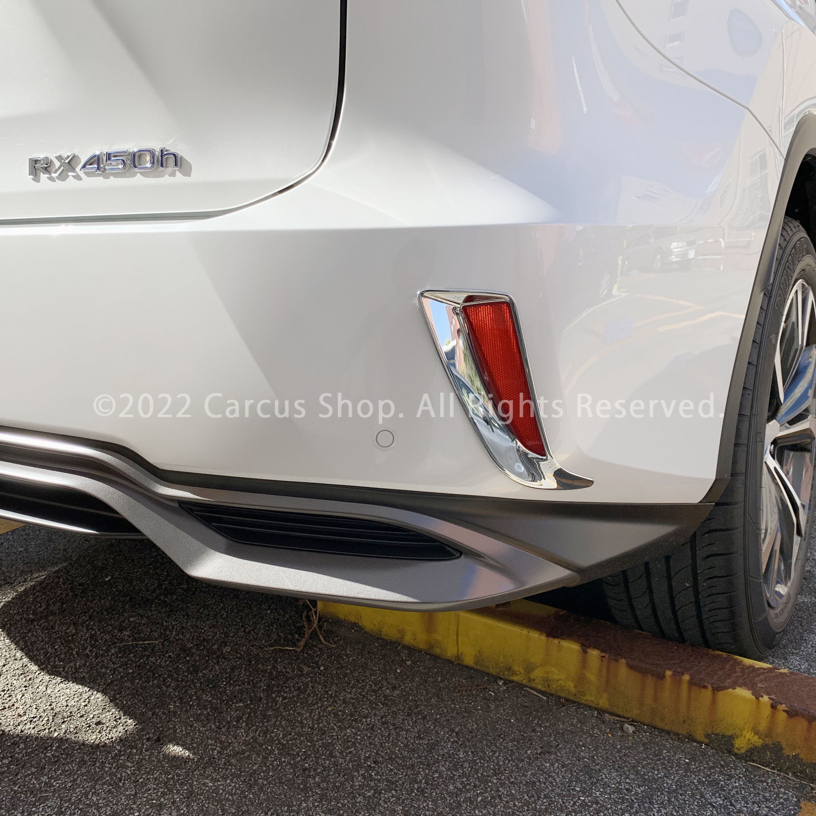 レクサス RX20系前期用 リアフォグランプガーニッシュ LEXUS RX20系