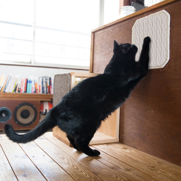 ISLE RUG White ISLAND ޤȤ饰 Ʊ3祻å