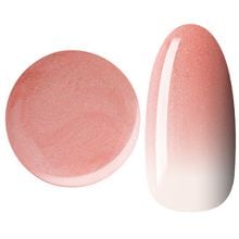 Color gel G231