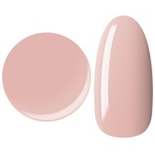 25GEL Color gel 007M/��0