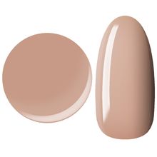 25GEL Color gel 017M/-1