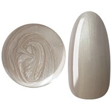 25GEL Color gel 123G/-1