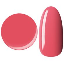 25GEL Color gel 137M/��0