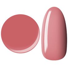 25GEL Color gel 141M/-1