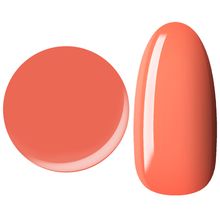 25GEL Color gel 161M/-1