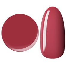 25GEL Color gel 218M/��1