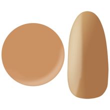 25gel Color gel 220M/��0