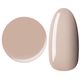 Color gel M455