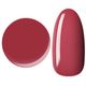 25GEL Color gel 218M/��1