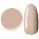 Color gel M404