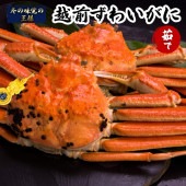 越前ずわいがに