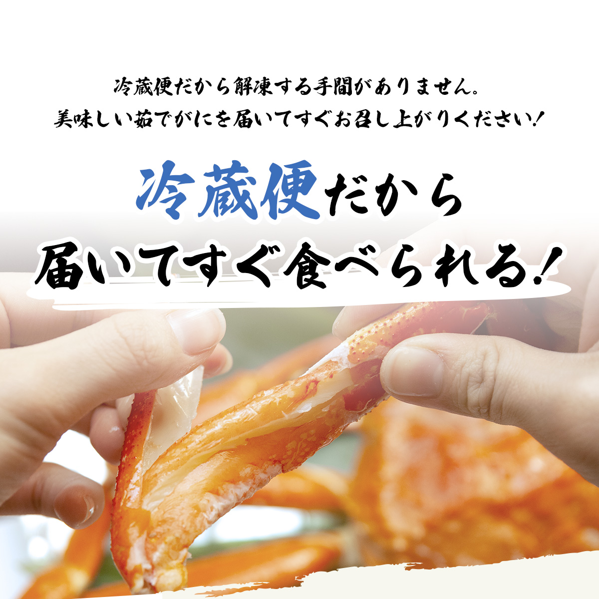 越前ずわいがに