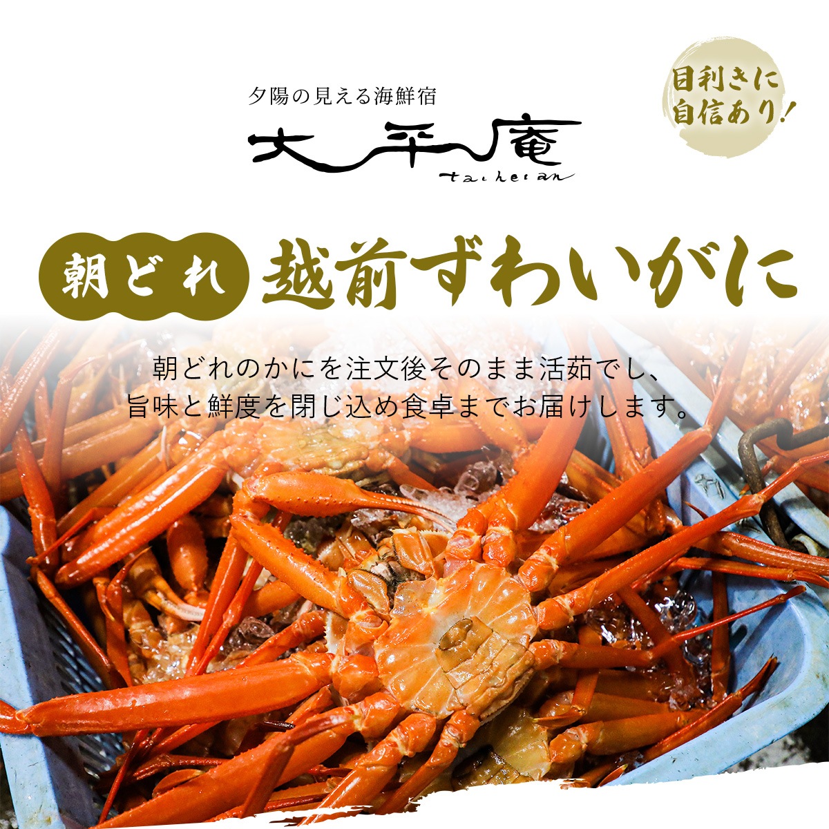 越前ずわいがに