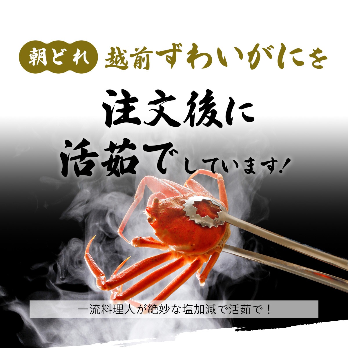 越前ずわいがに